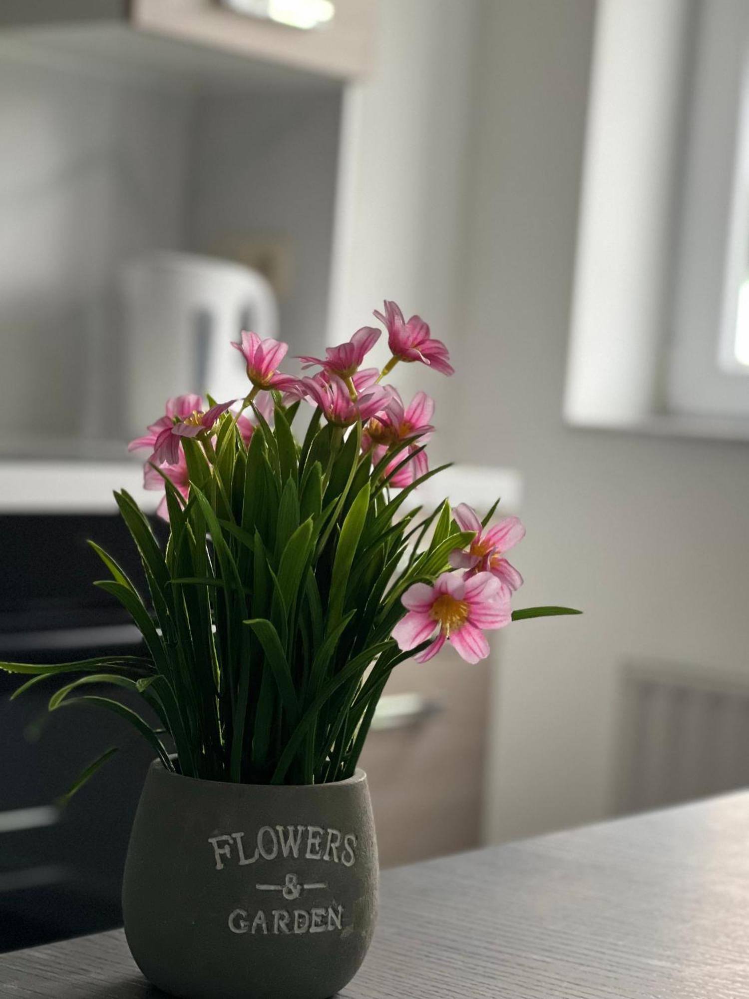 Maison D'Ans Екстериор снимка